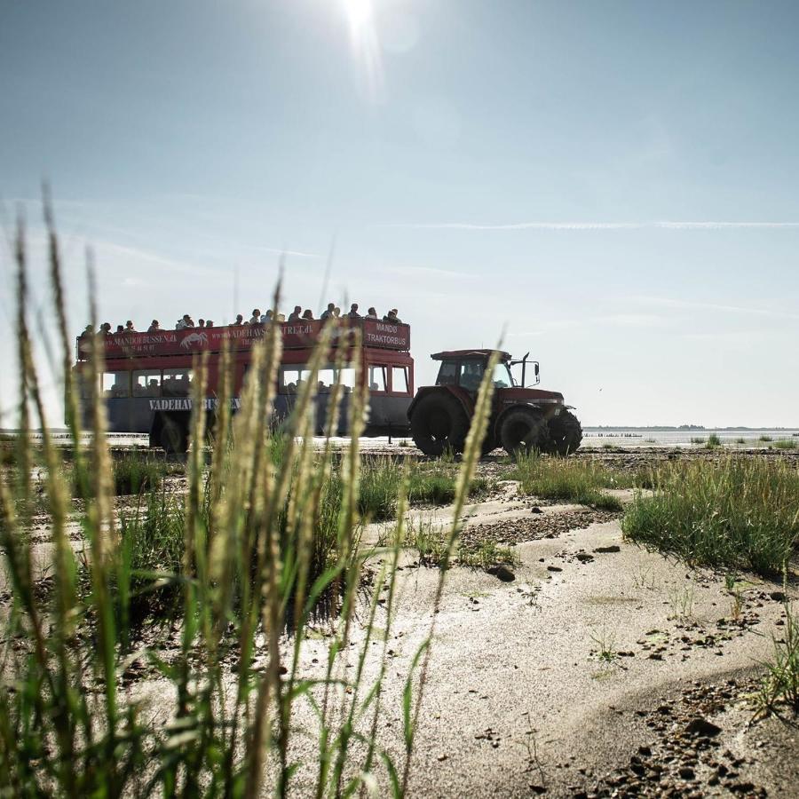 Lustrup Farmhouse Ribe Exterior photo